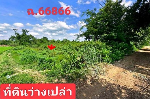 ขายทอดตลาด ที่ดินว่างเปล่า ต.นางาม อ.เสลภูมิ จ.ร้อยเอ็ด
