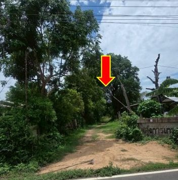 ขายทอดตลาด ที่ดินว่างเปล่า ต.วังหลวง อ.เสลภูมิ จ.ร้อยเอ็ด