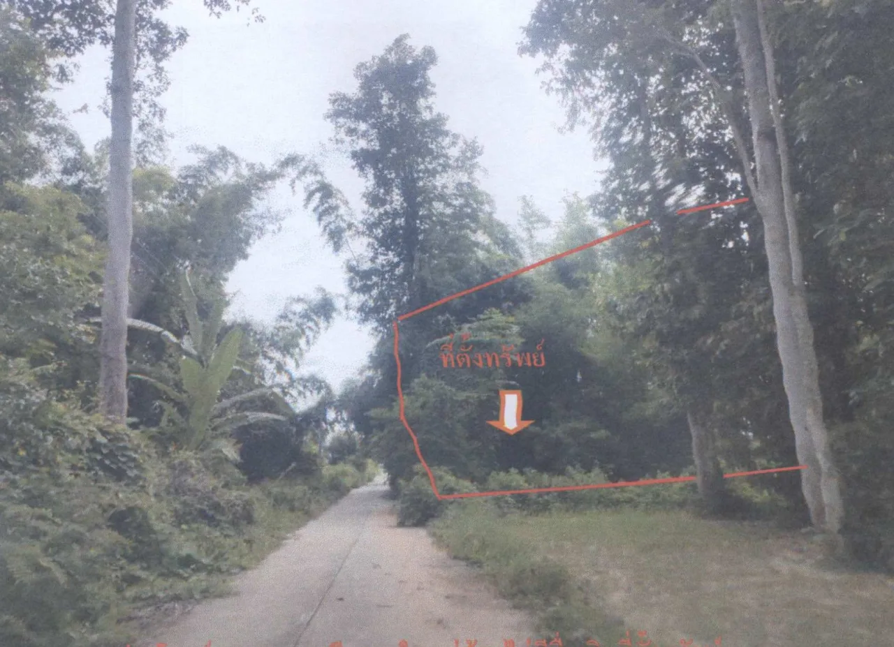 ขายทอดตลาด ที่ดินว่างเปล่า ต.นาโพธิ์ อ.เมืองร้อยเอ็ด จ.ร้อยเอ็ด
