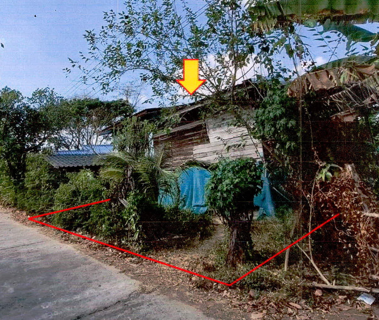 ขายทอดตลาด ที่ดินพร้อมสิ่งปลูกสร้าง ต.ตำแย อ.กิ่งอำเภอพยุห์ จ.ศรีสะเกษ