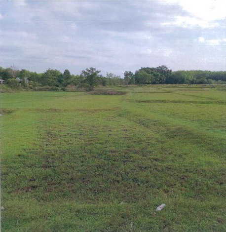 ขายทอดตลาด ที่ดินว่างเปล่า ต.สามัคคี อ.ร่องคำ จ.กาฬสินธุ์