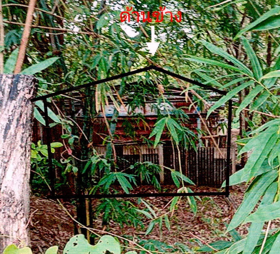 ขายทอดตลาด ที่ดินพร้อมสิ่งปลูกสร้าง ต.จิกสังข์ทอง อ.ราษีไศล จ.ศรีสะเกษ