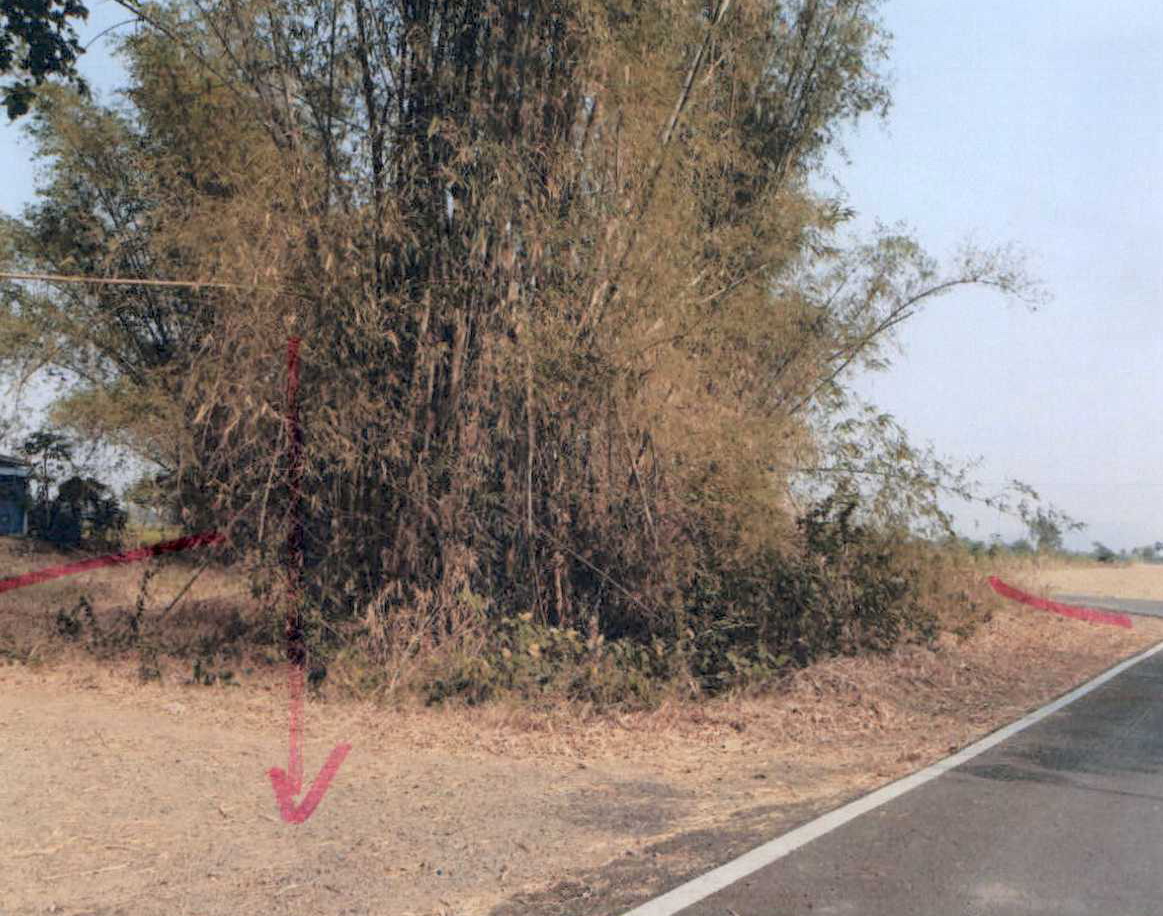 ขายทอดตลาด ที่ดินว่างเปล่า ต.สะแกราบ อ.โคกสำโรง จ.ลพบุรี