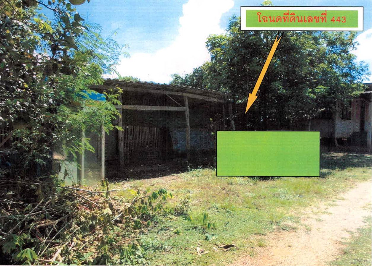 ขายทอดตลาด ที่ดินพร้อมสิ่งปลูกสร้าง ต.เกาะคา อ.เกาะคา จ.ลำปาง