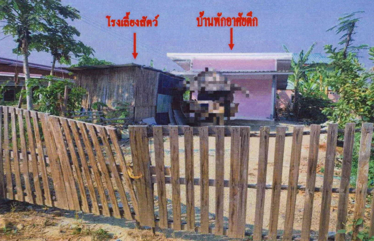 ขายทอดตลาด ที่ดินพร้อมสิ่งปลูกสร้าง ต.วังจั่น อ.โคกสำโรง จ.ลพบุรี
