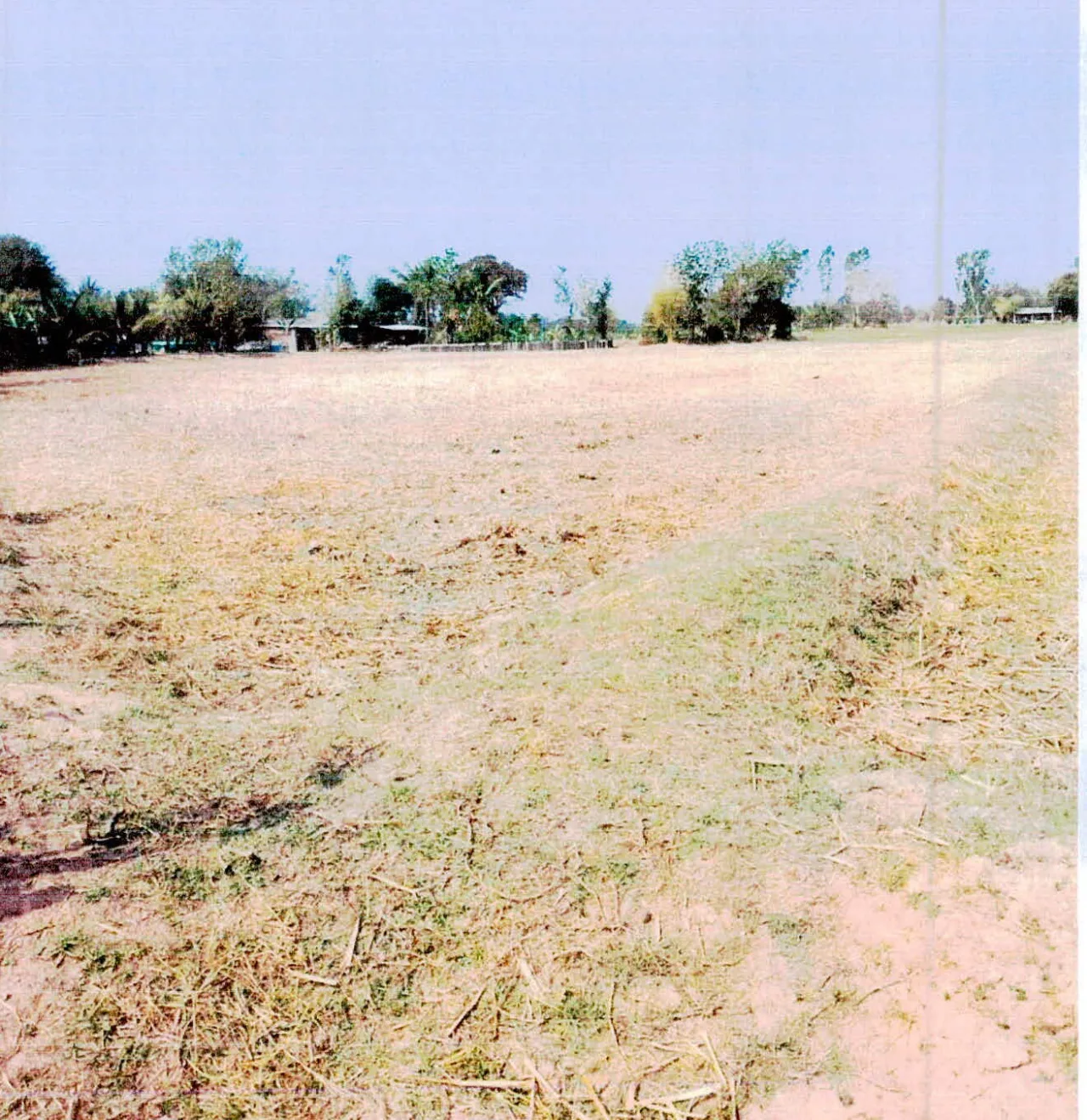 ขายทอดตลาด ที่ดินว่างเปล่า ต.สระกำแพงใหญ่ อ.อุทุมพรพิสัย จ.ศรีสะเกษ