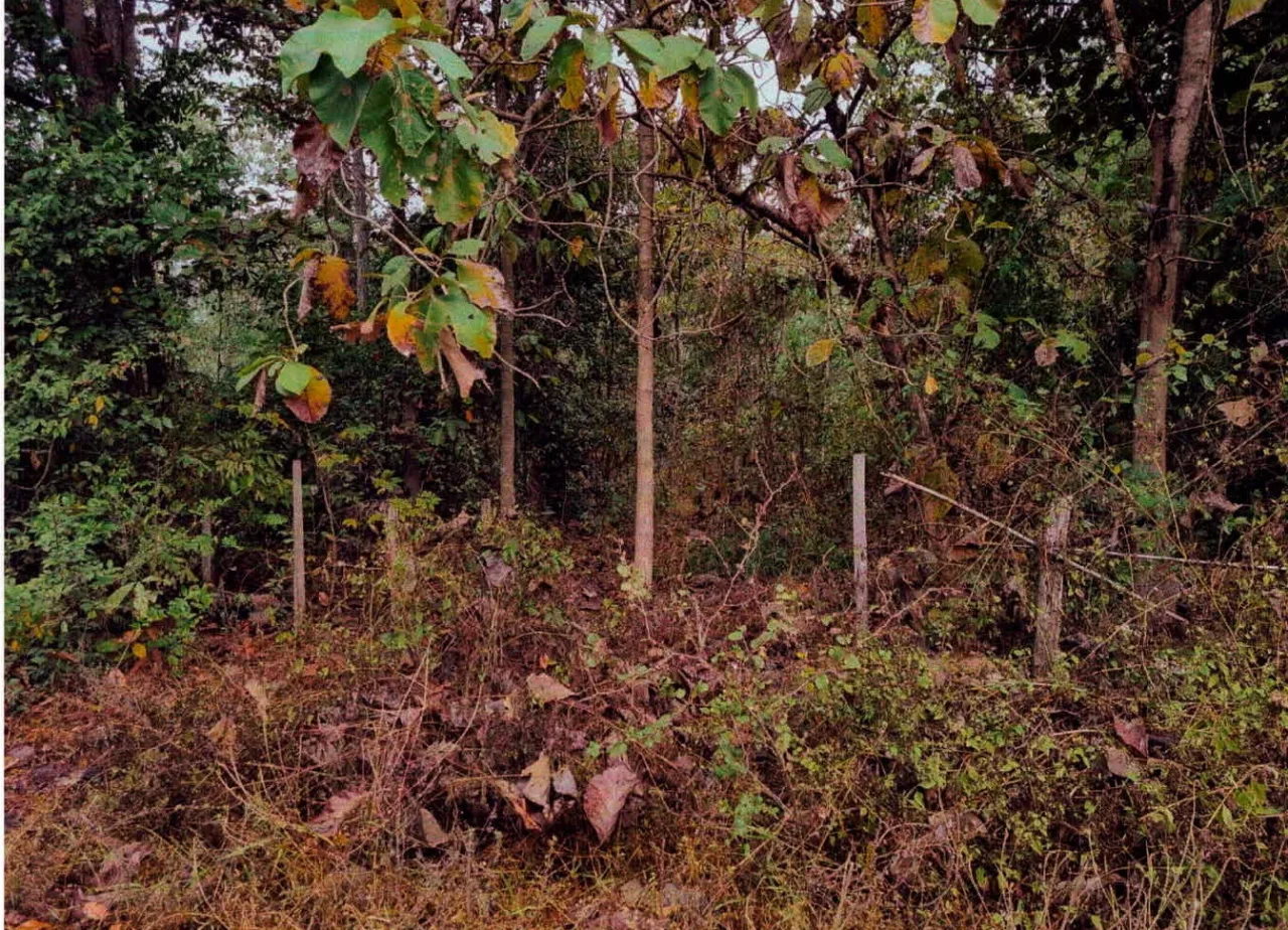 ขายทอดตลาด ที่ดินว่างเปล่า ต.ลำปางหลวง อ.เกาะคา จ.ลำปาง