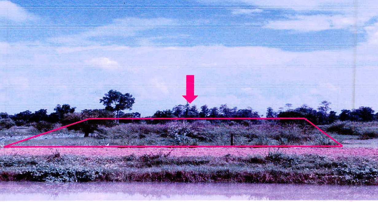 ขายทอดตลาด ที่ดินว่างเปล่า ต.กุดเมืองฮาม อ.ยางชุมน้อย จ.ศรีสะเกษ