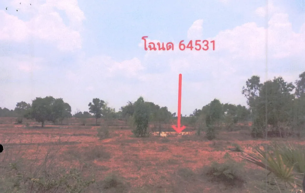 ขายทอดตลาด ที่ดินว่างเปล่า ต.โนนสัง อ.กันทรารมย์ จ.ศรีสะเกษ