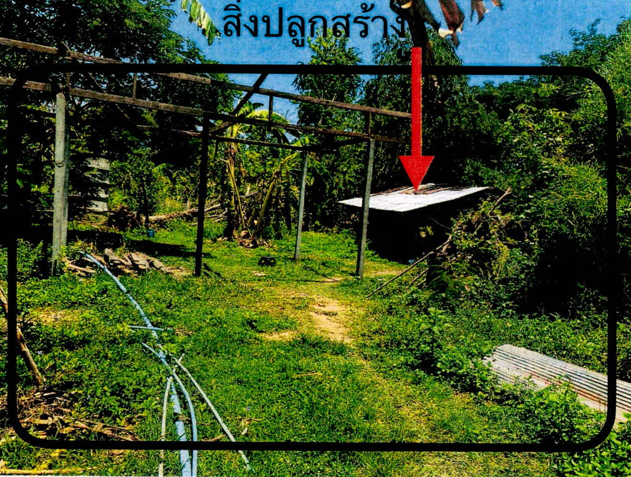 ขายทอดตลาด ที่ดินพร้อมสิ่งปลูกสร้าง ต.วังพร้าว อ.เกาะคา จ.ลำปาง