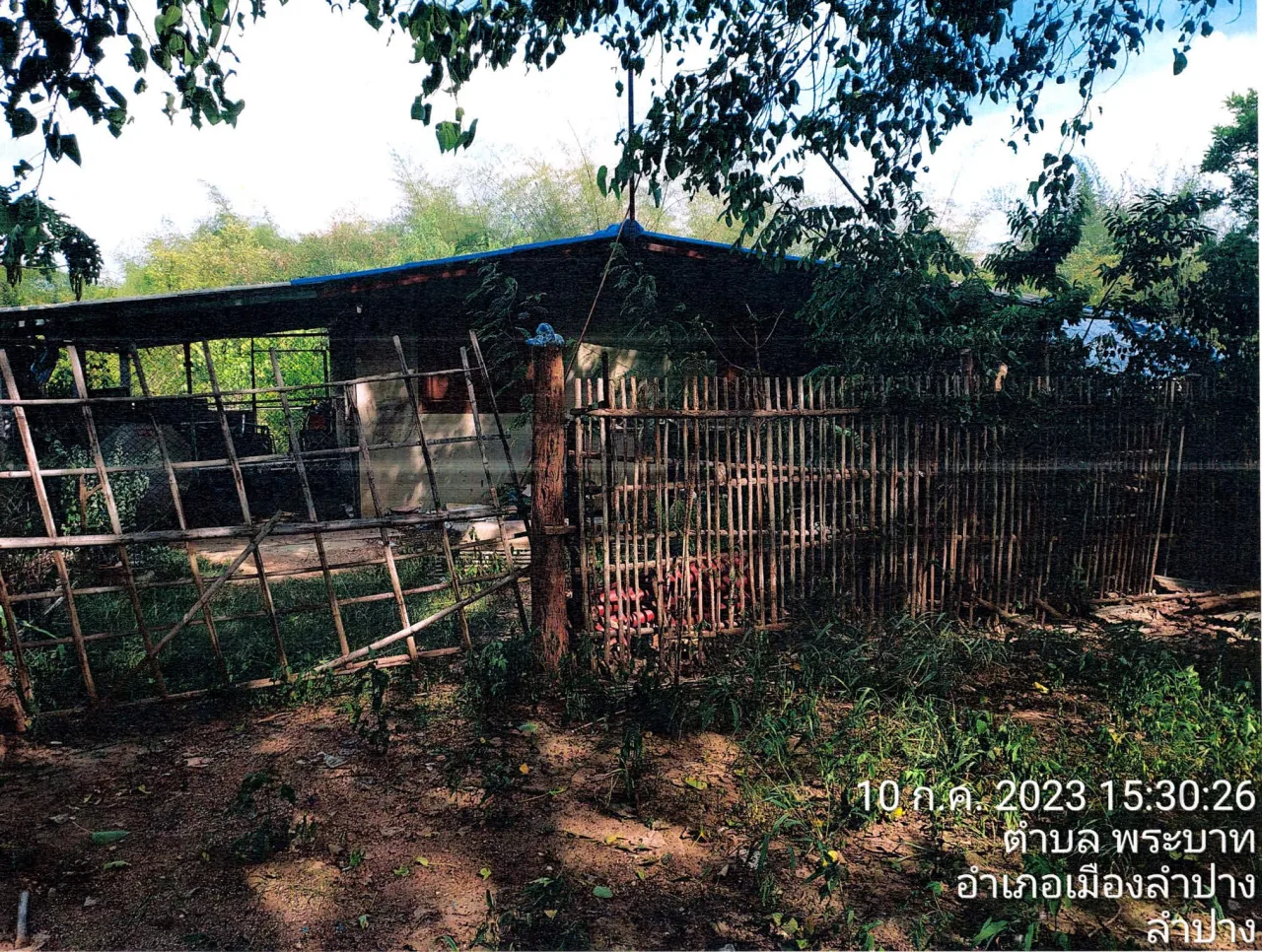 ขายทอดตลาด ที่ดินพร้อมสิ่งปลูกสร้าง ต.พิชัย อ.เมืองลำปาง จ.ลำปาง