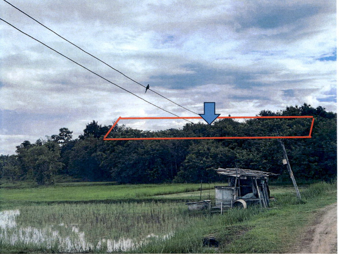 ขายทอดตลาด ที่ดินว่างเปล่า ต.ใหม่พัฒนา อ.เกาะคา จ.ลำปาง