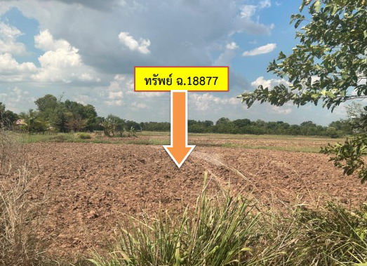 ขายทอดตลาด ที่ดินว่างเปล่า จ.กาฬสินธุ์