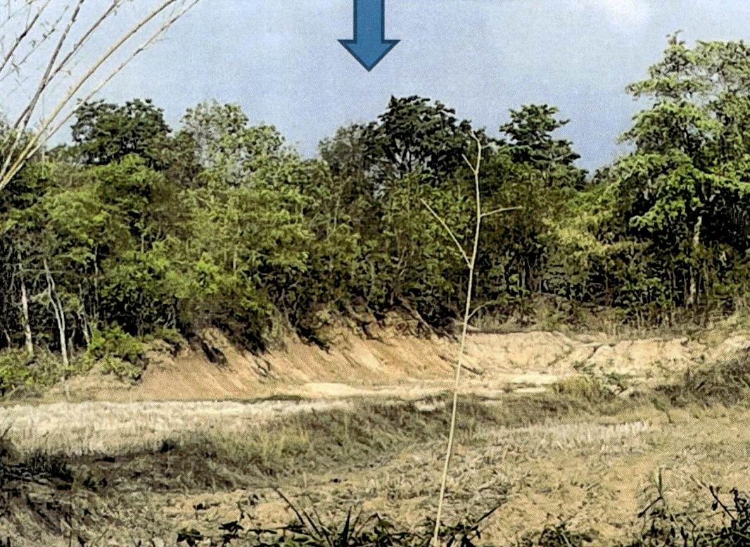 ขายทอดตลาด ที่ดินว่างเปล่า ต.บ้านเอื้อม อ.เมืองลำปาง จ.ลำปาง