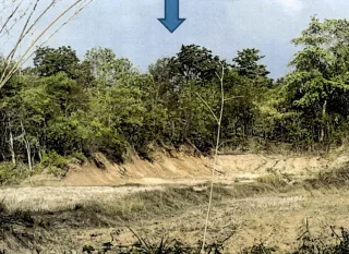 รูปทรัพย์ 1