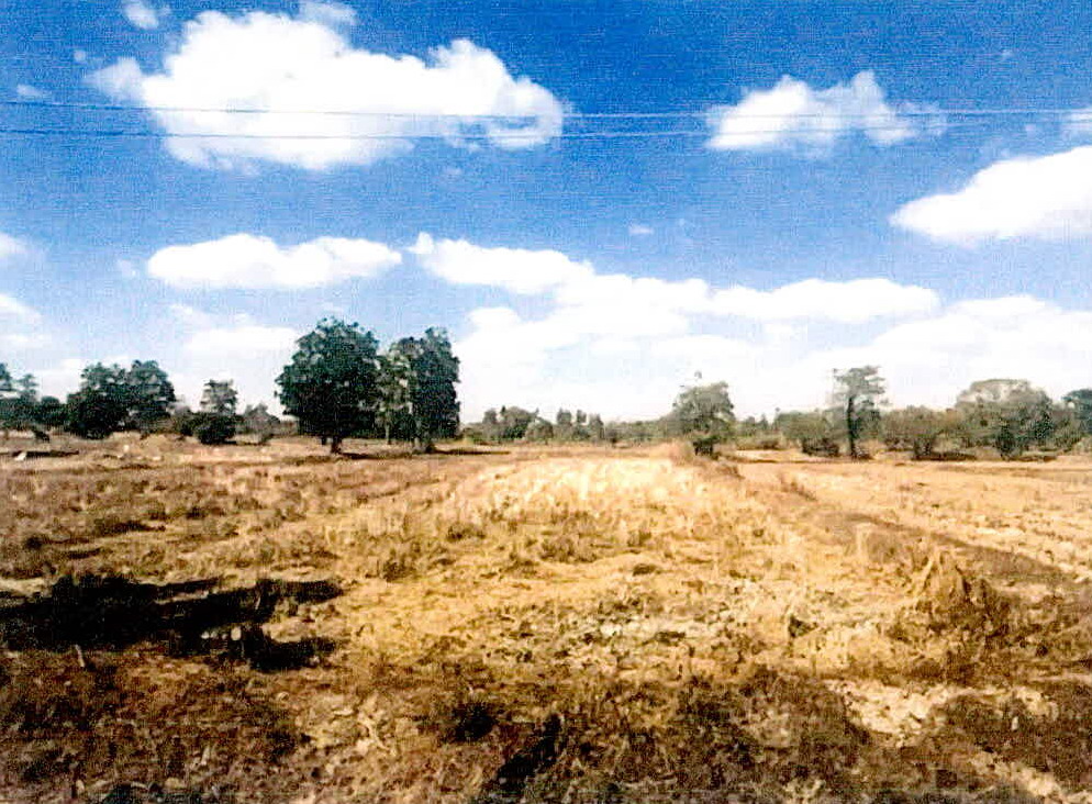 ขายทอดตลาด ที่ดินว่างเปล่า ต.ศรีสำราญ อ.วังหิน จ.ศรีสะเกษ