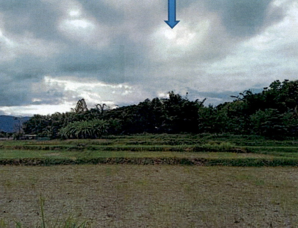 ขายทอดตลาด ที่ดินว่างเปล่า ต.หัวเสือ อ.แม่ทะ จ.ลำปาง