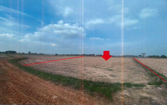 ขายทอดตลาด ที่ดินว่างเปล่า ต.โคกสะอาด อ.ฆ้องชัย จ.กาฬสินธุ์