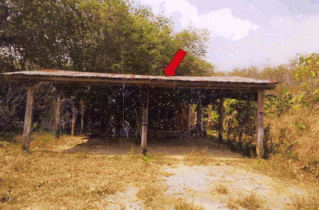 ขายทอดตลาด ที่ดินพร้อมสิ่งปลูกสร้าง ต.หนองบัว อ.บ้านค่าย จ.ระยอง