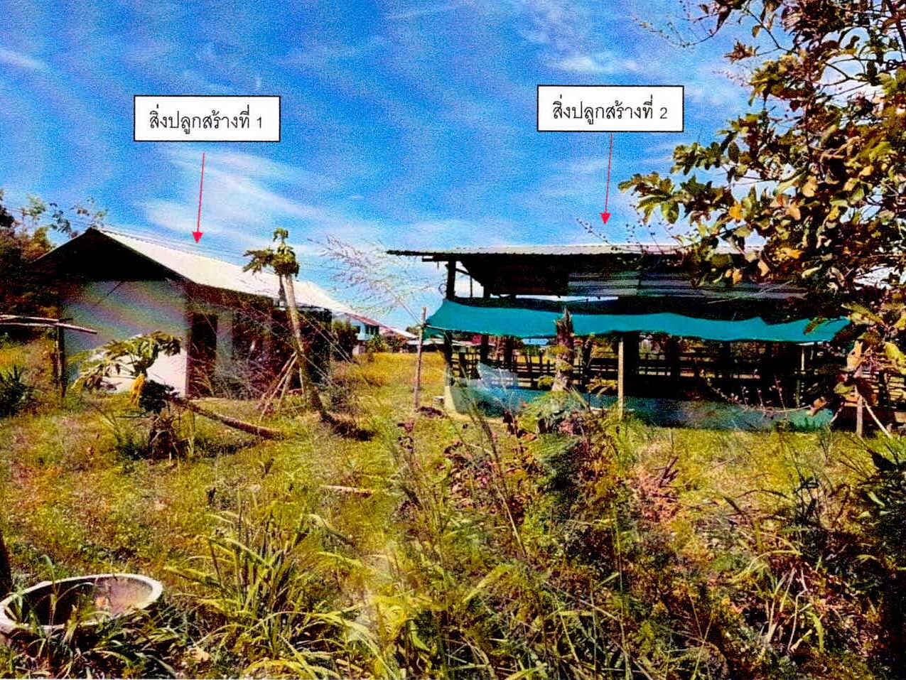 ขายทอดตลาด ที่ดินพร้อมสิ่งปลูกสร้าง ต.หนองไฮ อ.เมืองศรีสะเกษ จ.ศรีสะเกษ