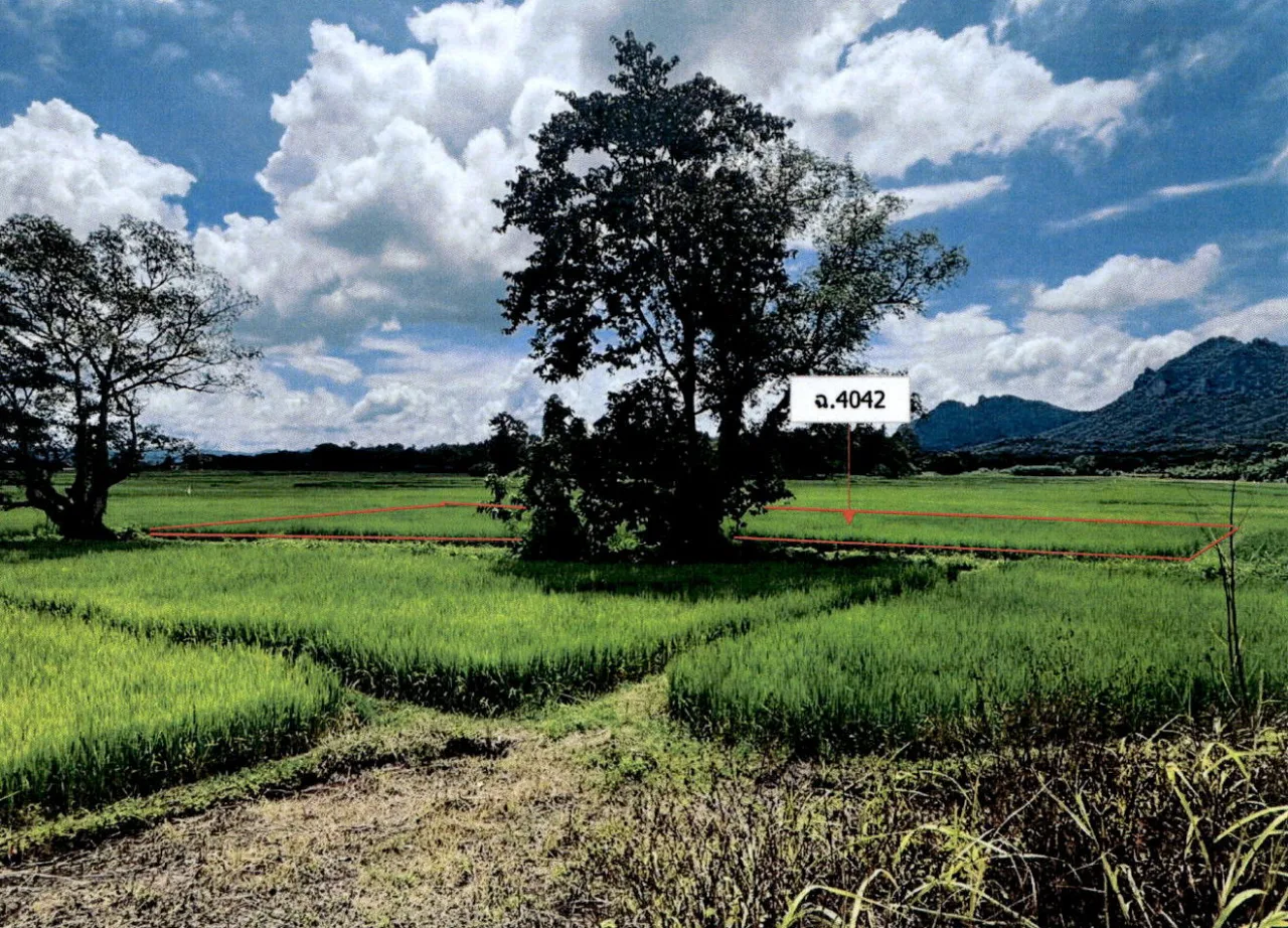 ขายทอดตลาด ที่ดินว่างเปล่า ต.วิเชตนคร(แจ้ห่ม) อ.แจ้ห่ม จ.ลำปาง
