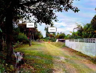 รูปทรัพย์ 1