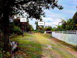 รูปทรัพย์ 2