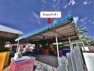 รูปทรัพย์ 2