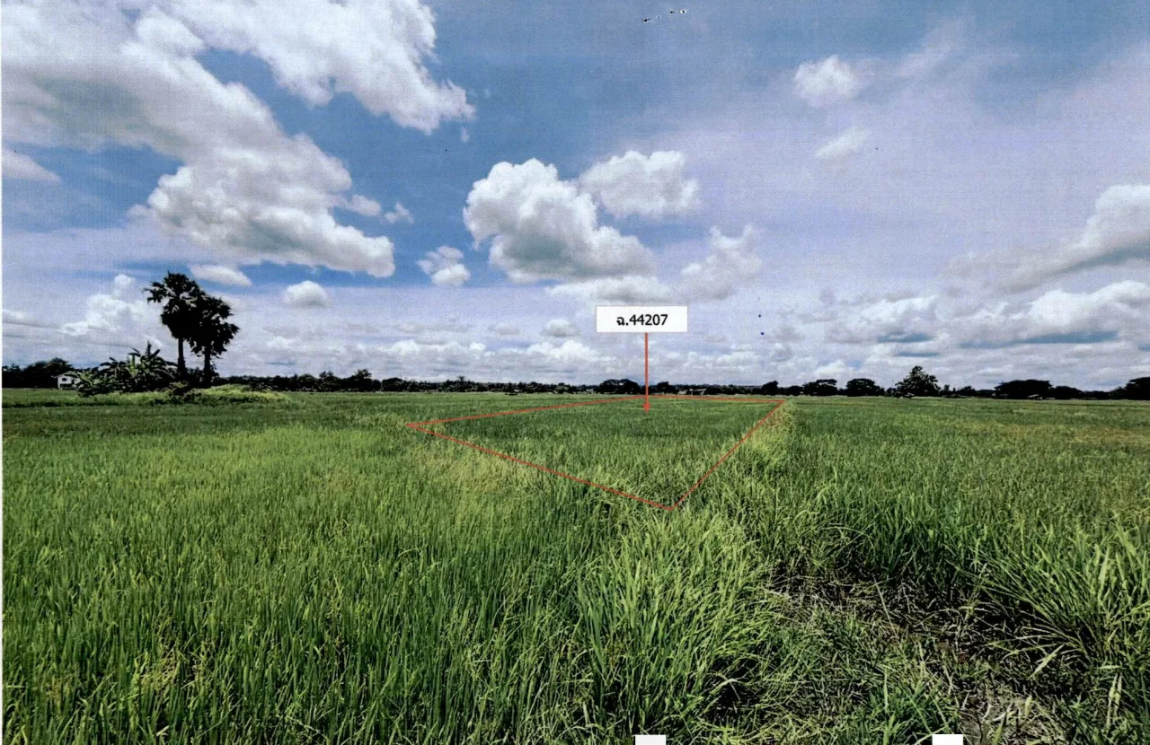 ขายทอดตลาด ที่ดินว่างเปล่า ต.น้ำโจ้ อ.แม่ทะ จ.ลำปาง