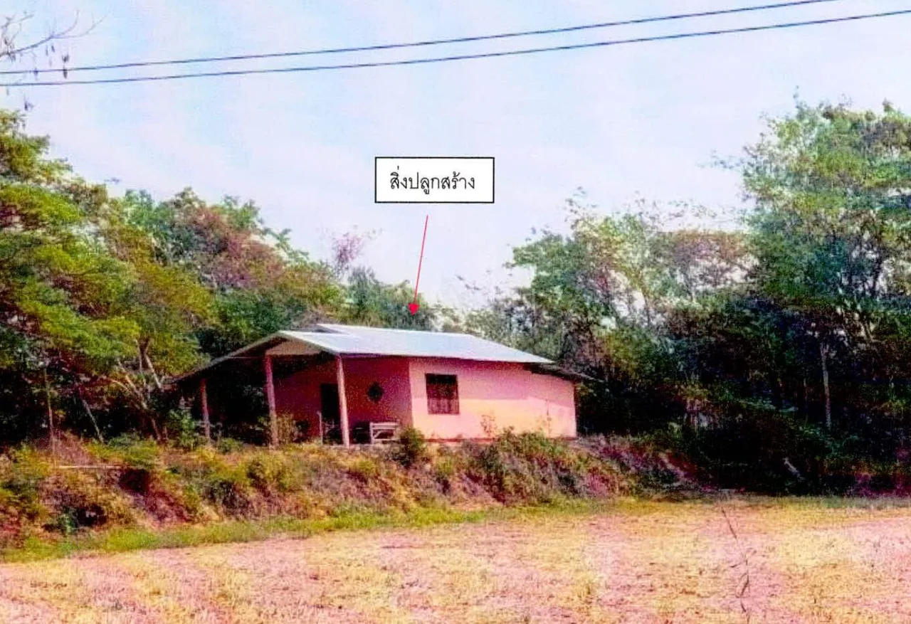 ขายทอดตลาด ที่ดินพร้อมสิ่งปลูกสร้าง ต.โพนข่า อ.เมืองศรีสะเกษ จ.ศรีสะเกษ