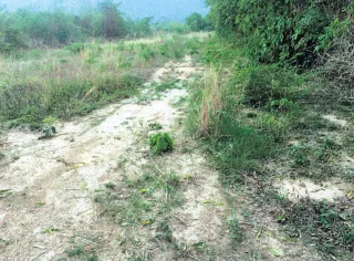 รูปทรัพย์ 1
