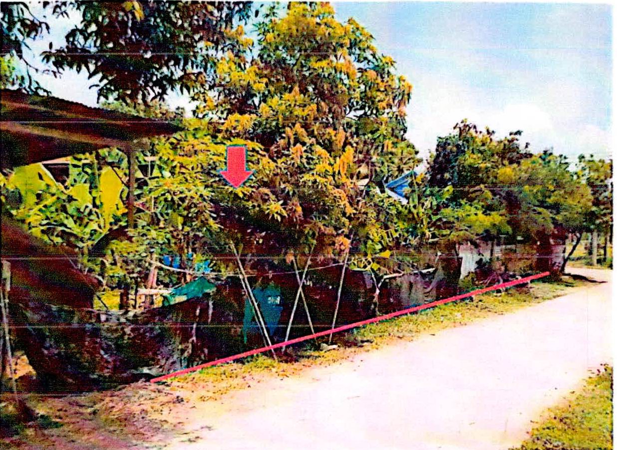 ขายทอดตลาด ที่ดินว่างเปล่า ต.บัวหุ่ง อ.ราษีไศล จ.ศรีสะเกษ