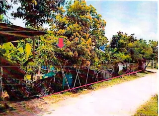 รูปทรัพย์ 1