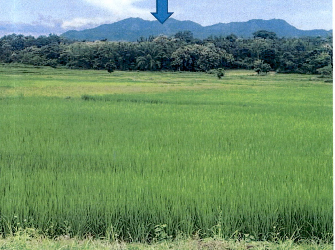ขายทอดตลาด ที่ดินว่างเปล่า จ.ลำปาง