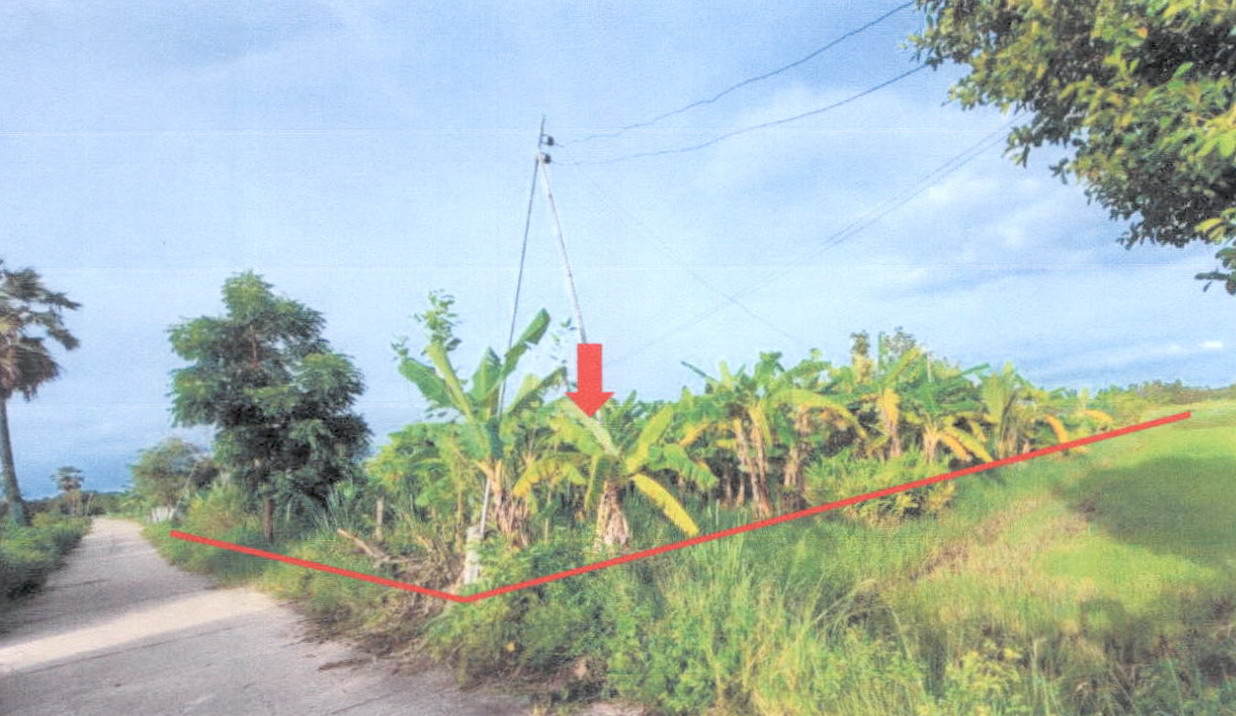 ขายทอดตลาด ที่ดินว่างเปล่า ต.หนองไฮ อ.เมืองศรีสะเกษ จ.ศรีสะเกษ