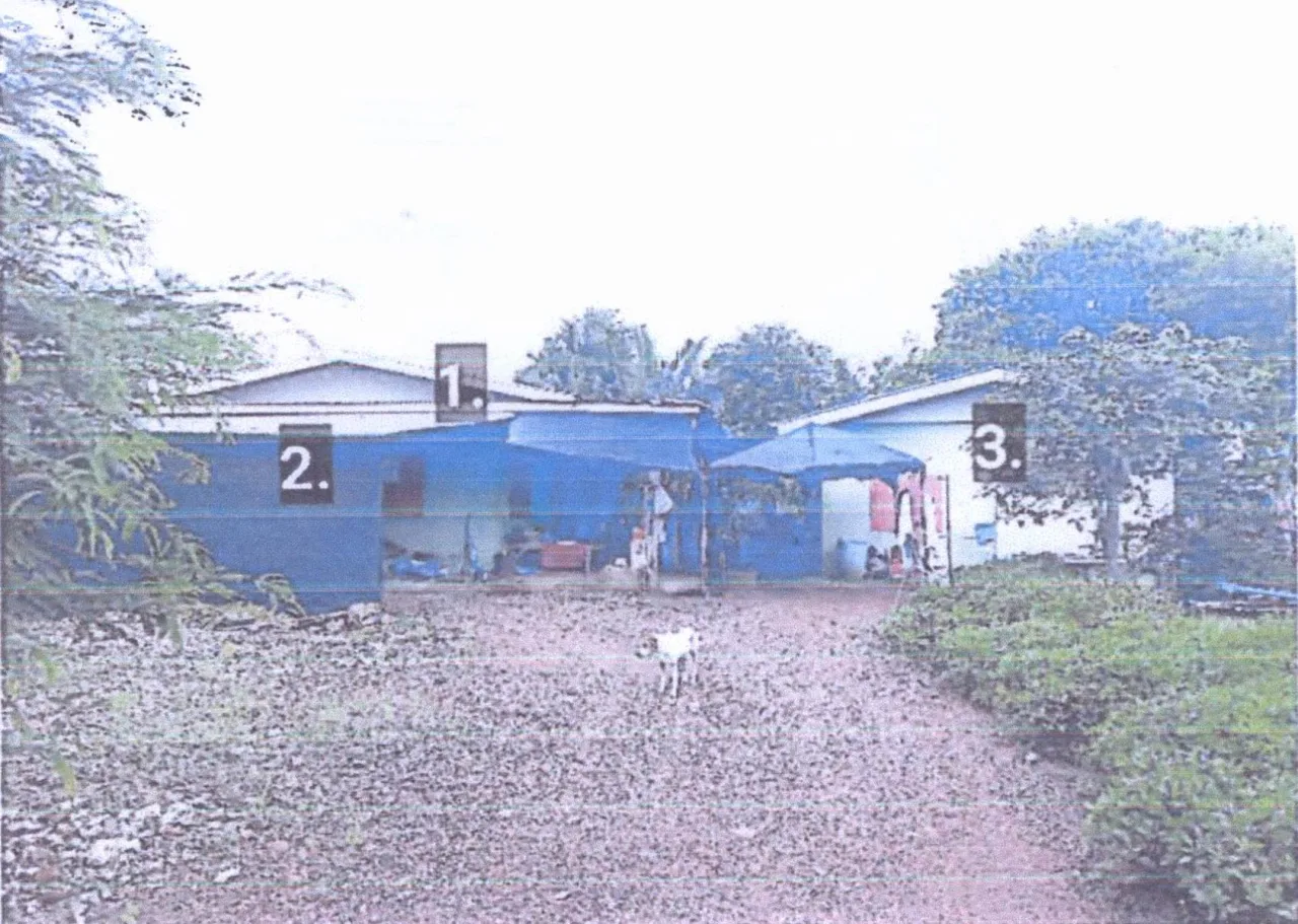 ขายทอดตลาด ที่ดินพร้อมสิ่งปลูกสร้าง ต.เกาะแก้ว อ.โคกสำโรง จ.ลพบุรี