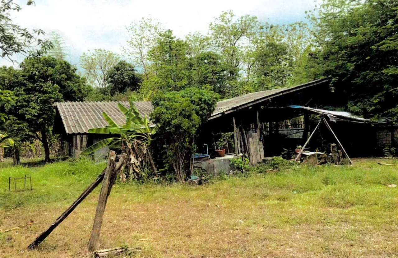 ขายทอดตลาด ที่ดินพร้อมสิ่งปลูกสร้าง ต.แม่เมาะ อ.แม่เมาะ จ.ลำปาง