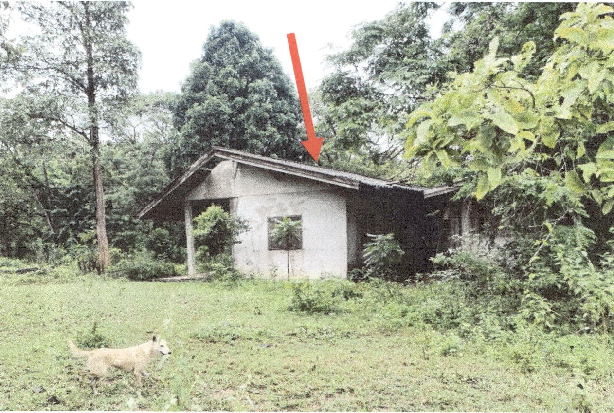 ขายทอดตลาด ที่ดินพร้อมสิ่งปลูกสร้าง ต.ต้นธงชัย อ.เมืองลำปาง จ.ลำปาง