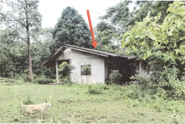 ขายทอดตลาด ที่ดินพร้อมสิ่งปลูกสร้าง ต.ต้นธงชัย อ.เมืองลำปาง จ.ลำปาง