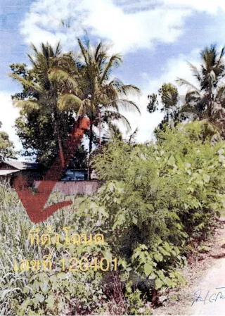 รูปทรัพย์ 1