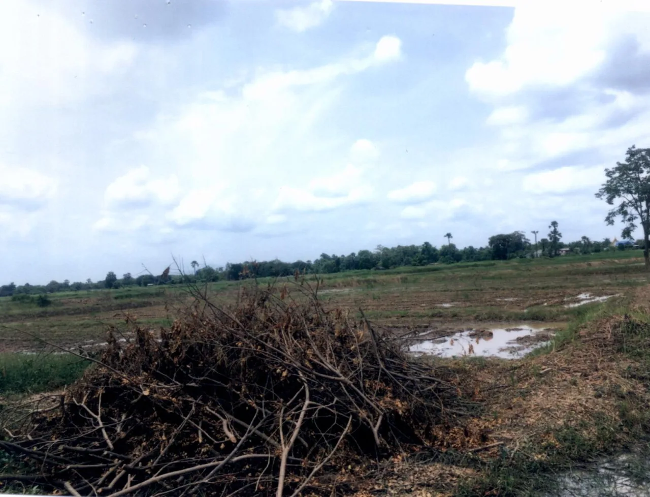 ขายทอดตลาด ที่ดินว่างเปล่า ต.ท่าผา อ.เกาะคา จ.ลำปาง