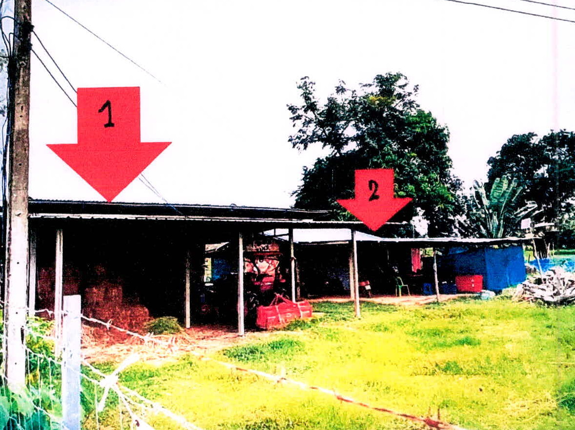ขายทอดตลาด ที่ดินพร้อมสิ่งปลูกสร้าง ต.บัวหุ่ง อ.ราษีไศล จ.ศรีสะเกษ