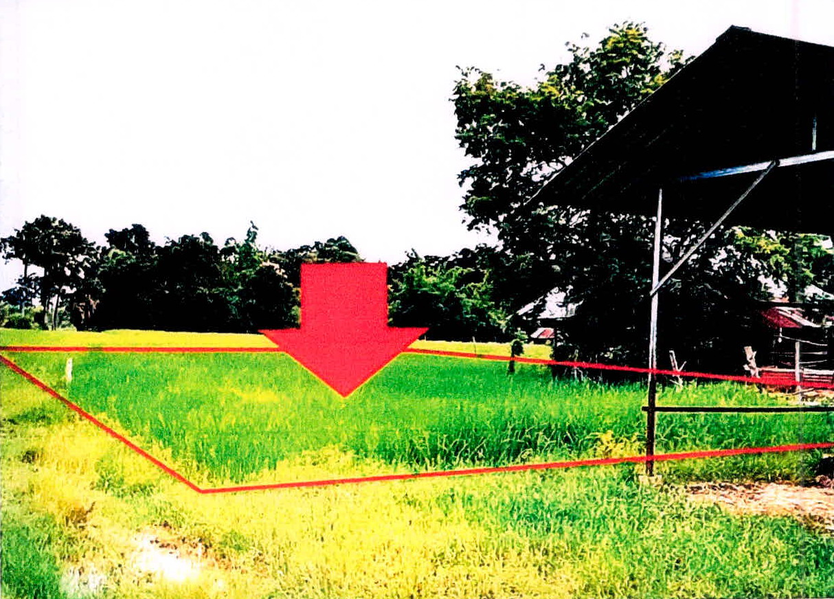 ขายทอดตลาด ที่ดินว่างเปล่า ต.บัวหุ่ง อ.ราษีไศล จ.ศรีสะเกษ