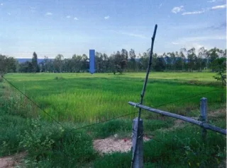 รูปทรัพย์ 2
