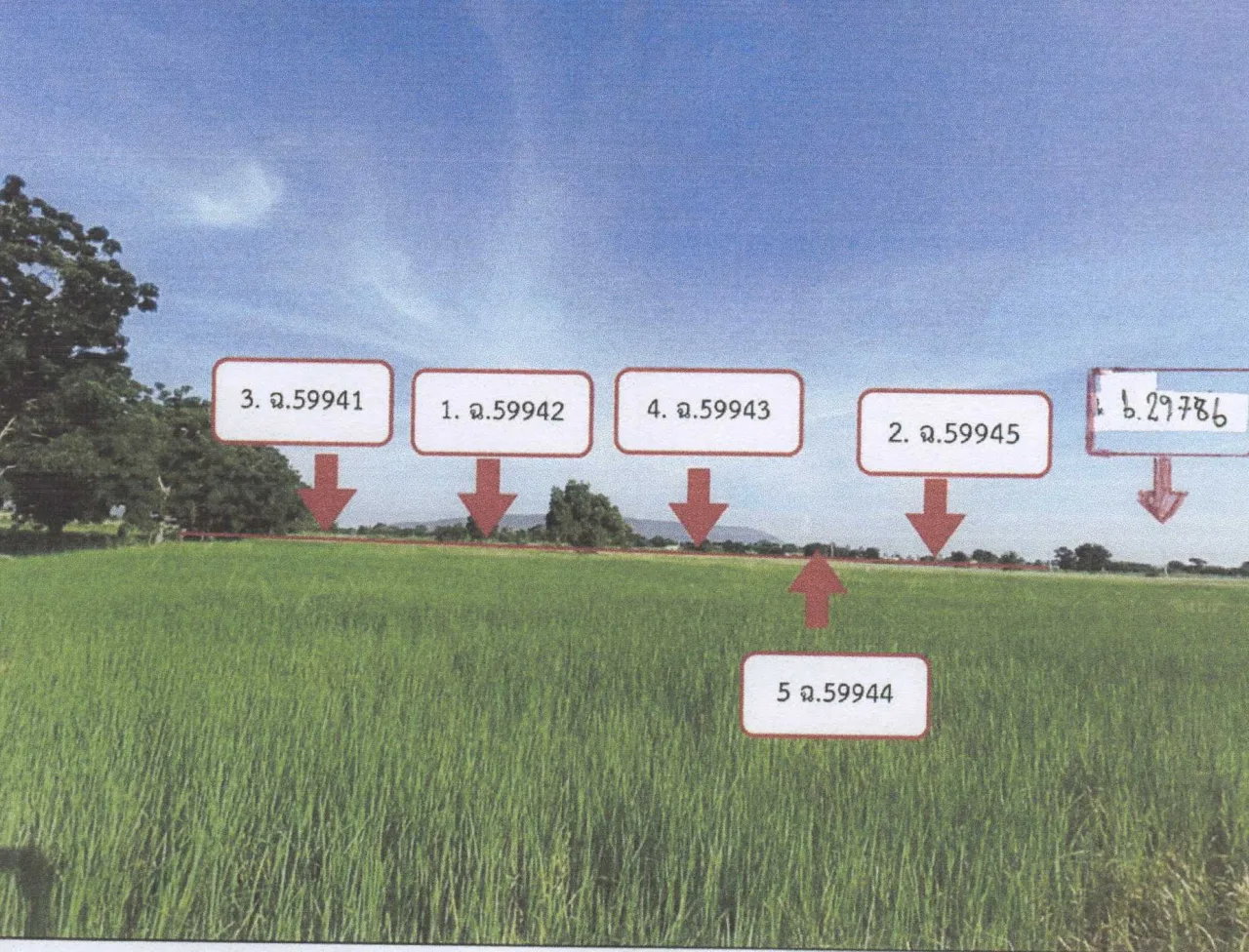 ขายทอดตลาด ที่ดินว่างเปล่า ต.โคกสำโรง อ.โคกสำโรง จ.ลพบุรี