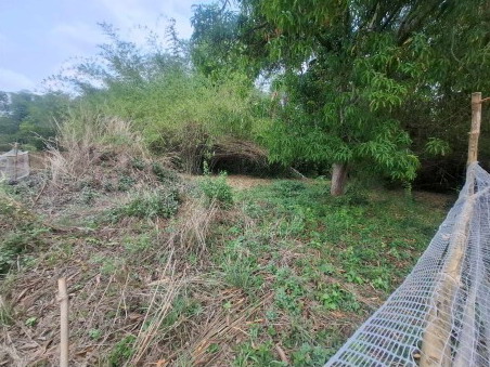 ขายทอดตลาด ที่ดินว่างเปล่า ต.นาคู อ.นาคู จ.กาฬสินธุ์