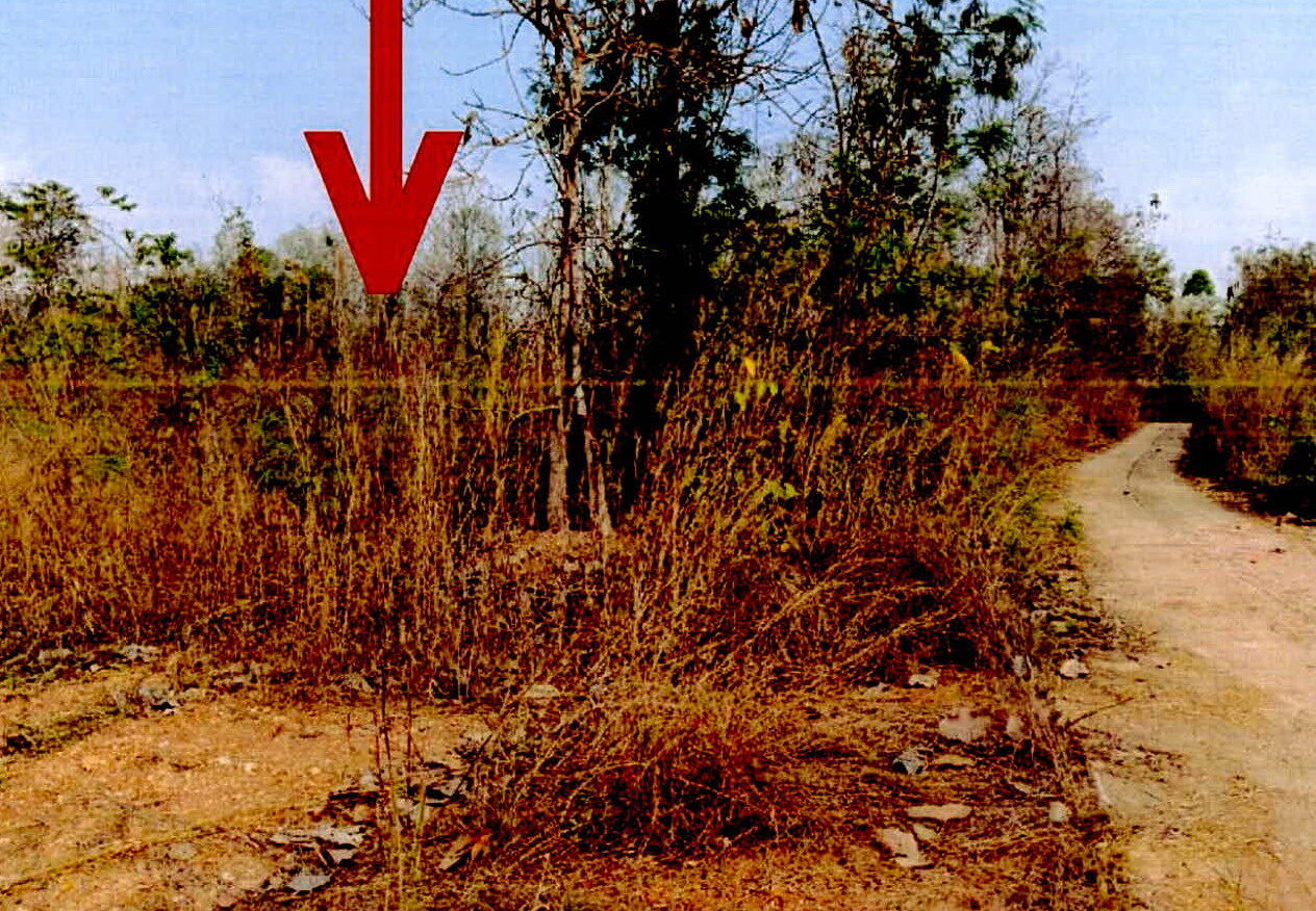 ขายทอดตลาด ที่ดินว่างเปล่า ต.บ้านโป่ง อ.งาว จ.ลำปาง