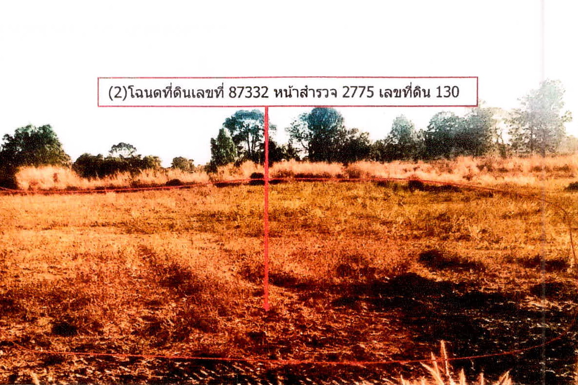 ขายทอดตลาด ที่ดินว่างเปล่า จ.ศรีสะเกษ