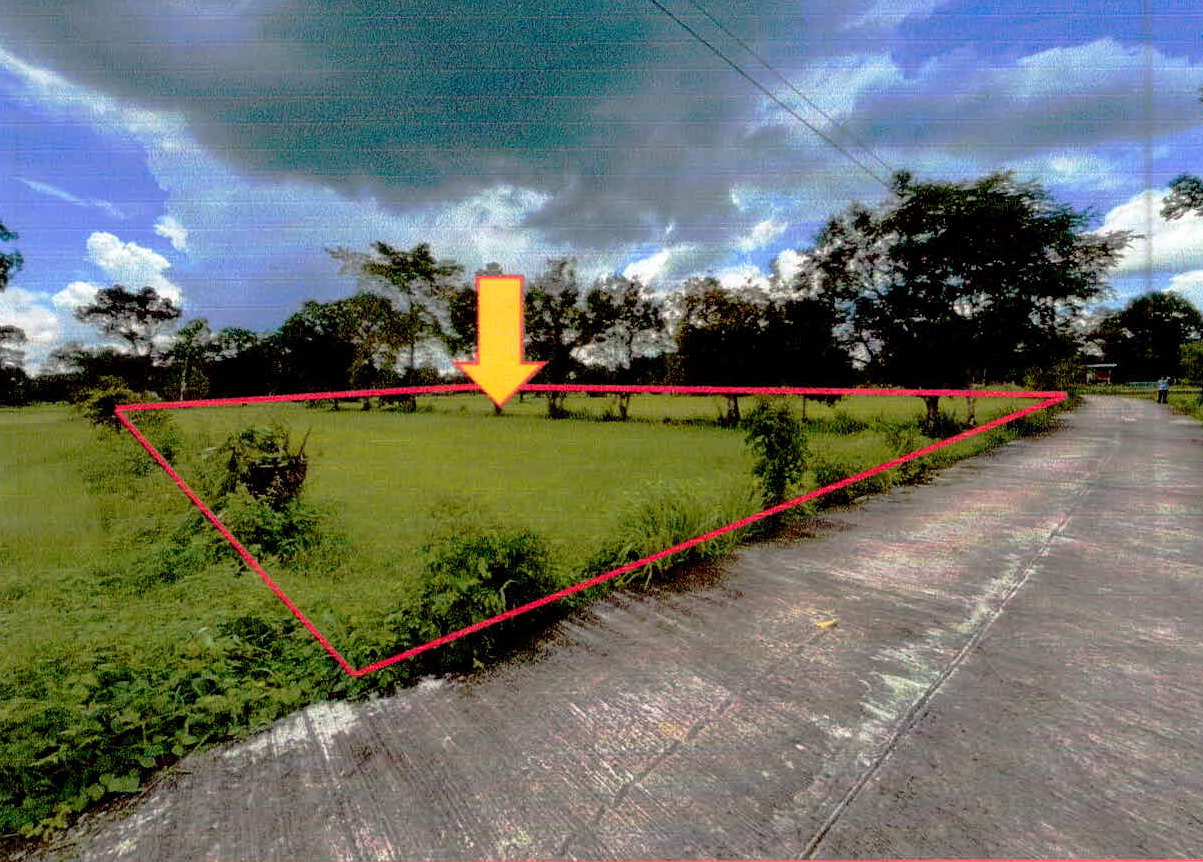 ขายทอดตลาด ที่ดินว่างเปล่า ต.โพนค้อ อ.เมืองศรีสะเกษ จ.ศรีสะเกษ