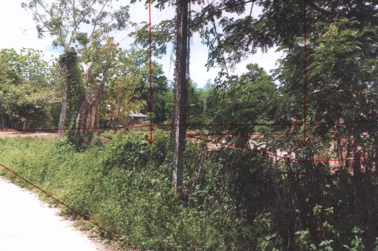 ขายทอดตลาด ที่ดินว่างเปล่า ต.สบป้าด อ.แม่เมาะ จ.ลำปาง